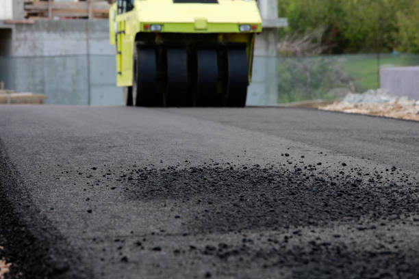Best Local Driveway Pavers  in West Alexandria, OH